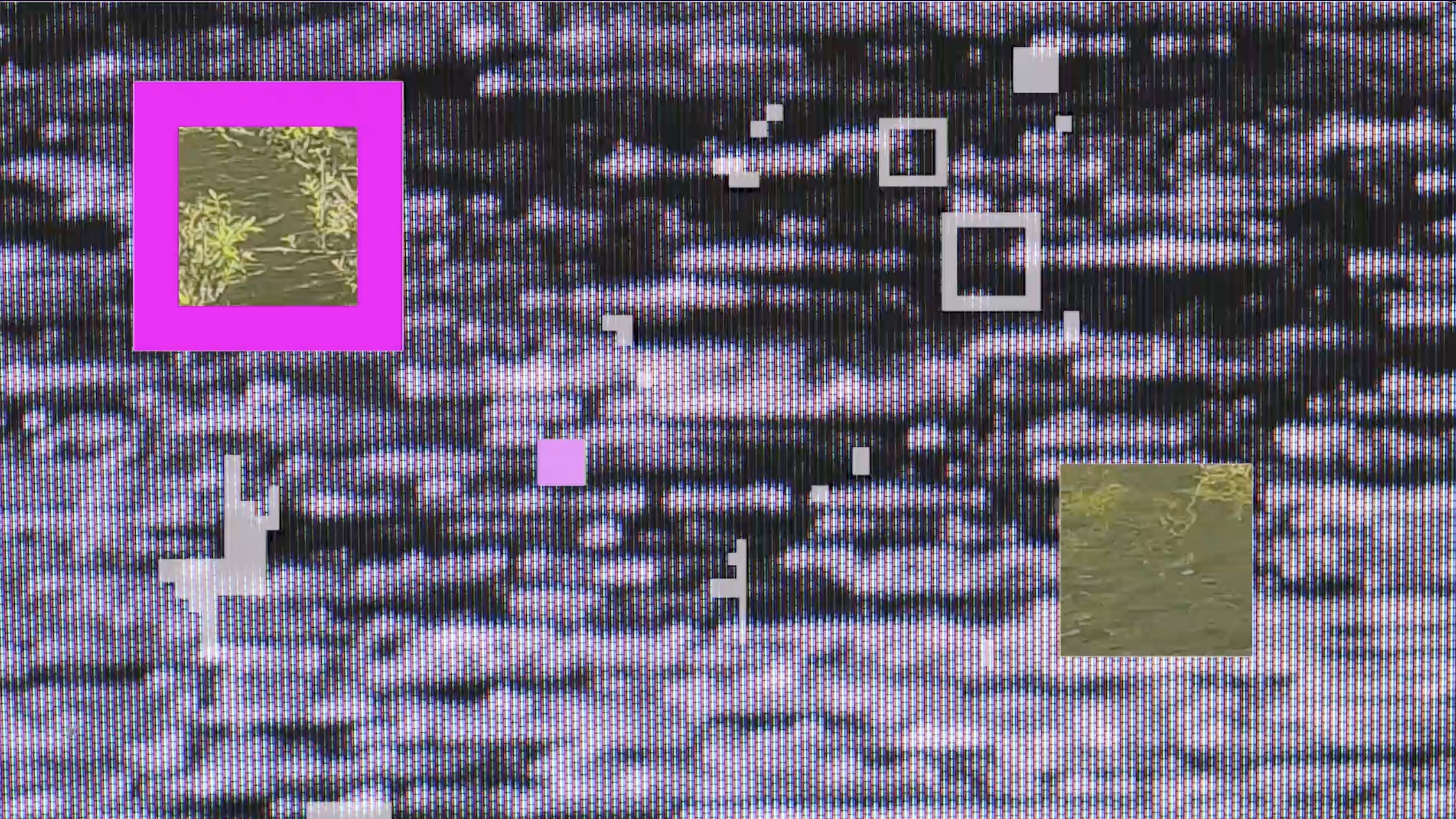 Pixel Paradise_Comma Space_Projection Still 1